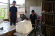 ARBC đưa ra giải pháp phòng chống vi phạm hợp đồng mua bán cao su